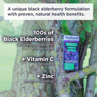 Sambucol Sugar Free Liquid 120ml