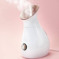 Stylpro 4-In-1 Facial Steamer Rose Gold
