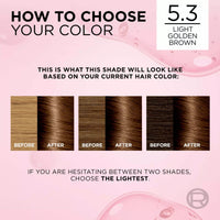 Loreal Paris Excellence 5.3 Light Golden Brown