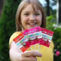 Yum Earth Organic Fruit Lollipops 14 Pieces