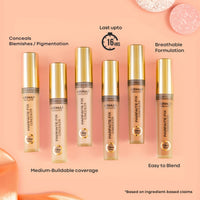 Armaf Beaute Parfaite Fix Concealer 06 Tan 5.8g