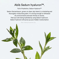 Abib Sedum Hyaluron Cream Hydrating Pot 80ml