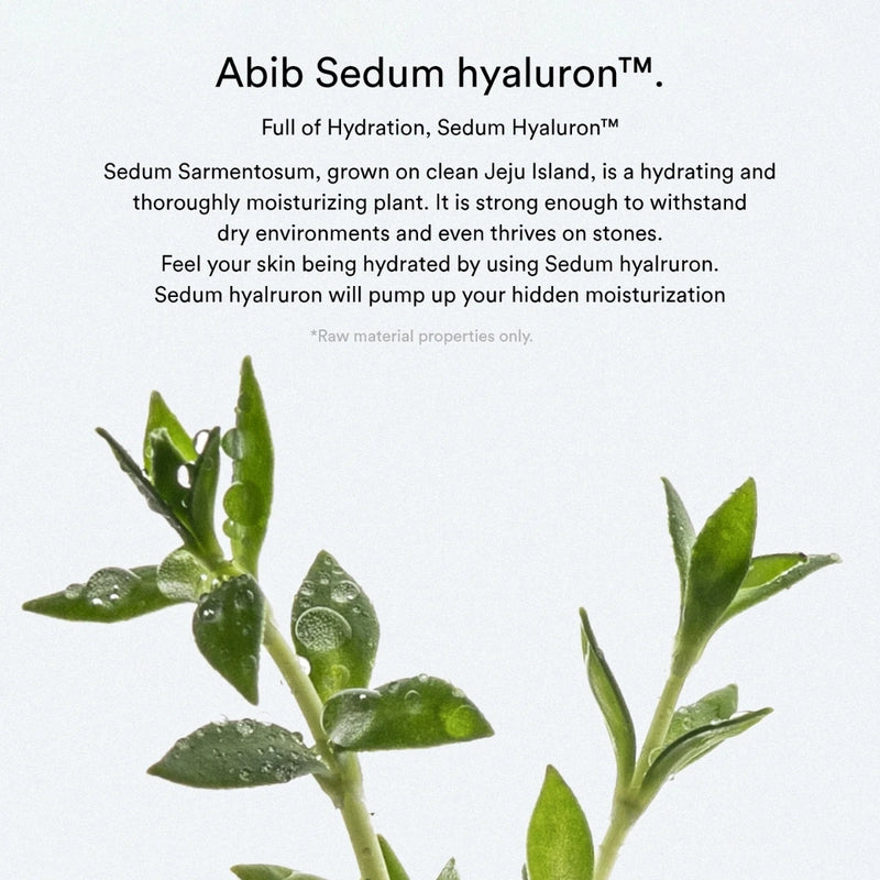 Abib Sedum Hyaluron Cream Hydrating Pot 80ml