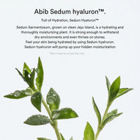 Abib Sedum Hyaluron Hydrating Touch 75 Pads