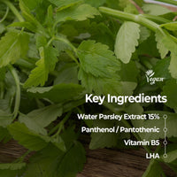 Skinfood Pantothenic Water Parsley Clear 60 Pads