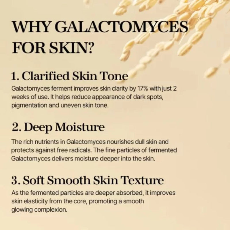 Mixsoon Galactomyces Ferment Essence 100ml