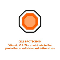 Bioglan Vitamin C + Zinc 2x20 Effervescent Tablets Value Pack