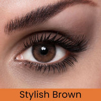 Lacelle Tri Kolor Contact Lenses Plano Stylish Brown