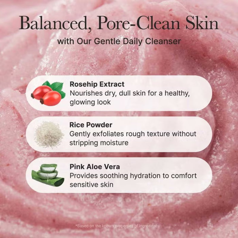 Arencia Fresh Rosehip Rice Mochi Cleanser 120g