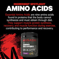 Musashi Amino Recovery Purple Grape 350g
