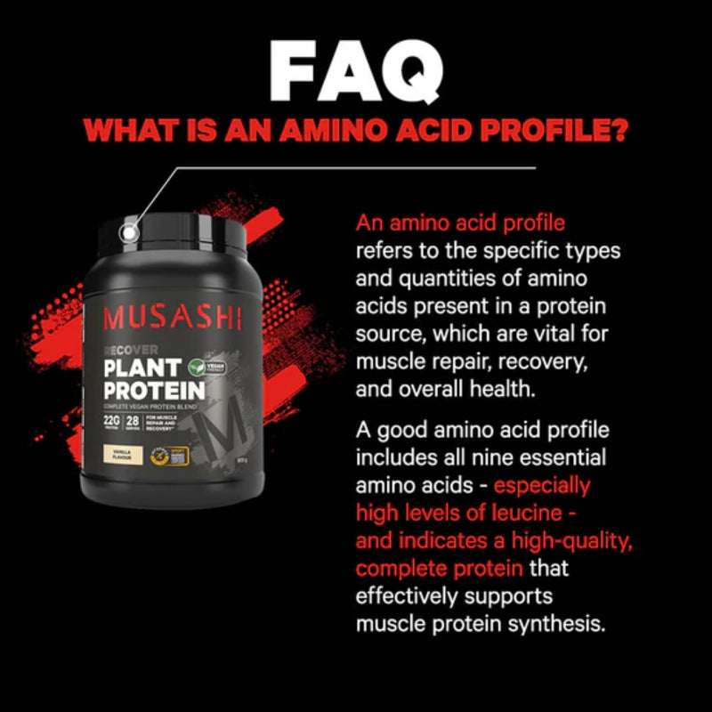 Musashi Plant Protein Chocolate 2kg