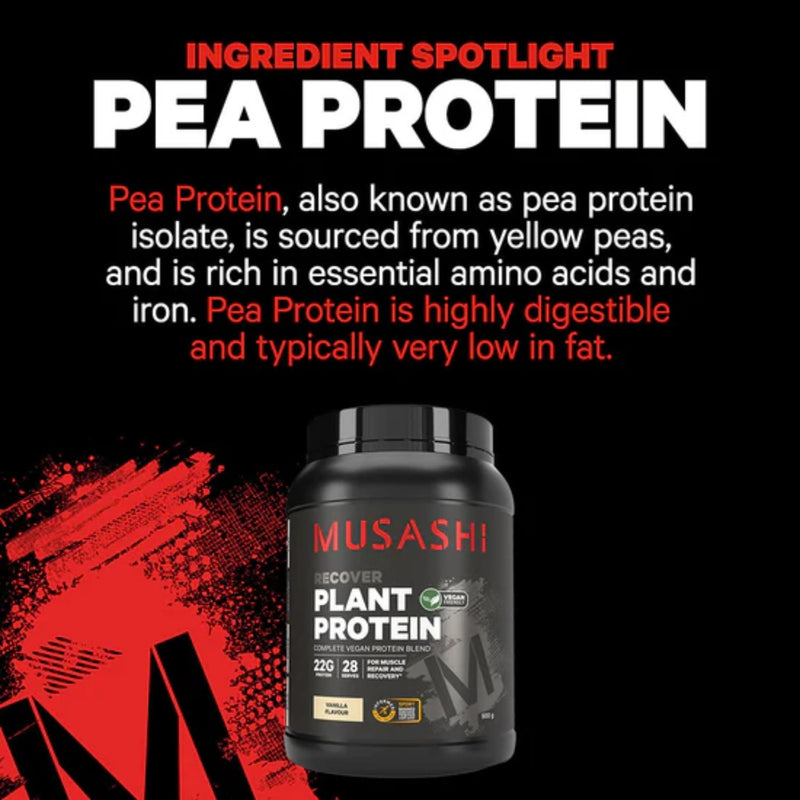 Musashi Plant Protein Chocolate 2kg