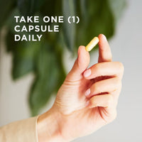 Solgar B Complex 100 50 Vege Capsules