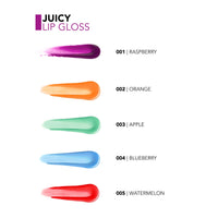 Flormar Juicy Lip Gloss 001 Raspberry 4g