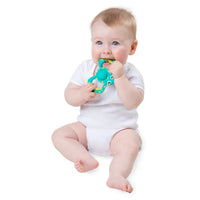Playgro Rattle & Teether Pop & Chew Silicone Teether 6 Months+