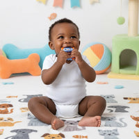 Playgro Rattle & Teether Soothe & Chew Silicone Teethers 3 Months+