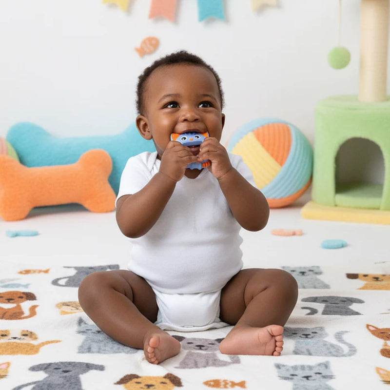 Playgro Rattle & Teether Soothe & Chew Silicone Teethers 3 Months+