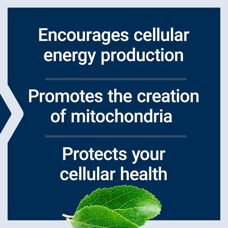 Life Extension Mitochondrial Energy Optimizer With PQQ 120 Vegetarian Capsules