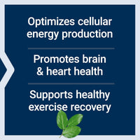 Life Extension Optimized Carnitine 60 Capsules