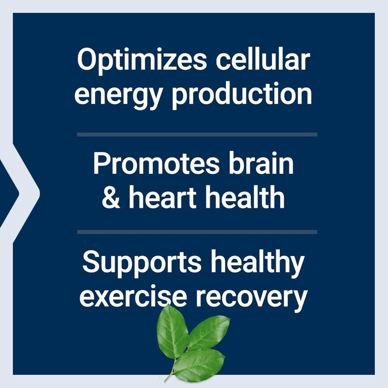 Life Extension Optimized Carnitine 60 Capsules