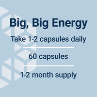 Life Extension Super R-Lipoic Acid 240mg 60 Vegetarian Capsules