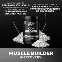 MuscleTech Platinum 100% Creatine Unflavored 400g