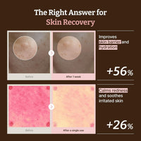 Dr. Reju All Advanced PDRN Rejuvenating Cream 60ml