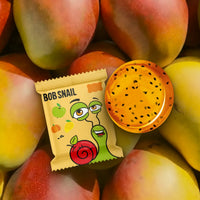 Bob Snail Fruit Jellies Apple Mango Pumpkin Chia 90g