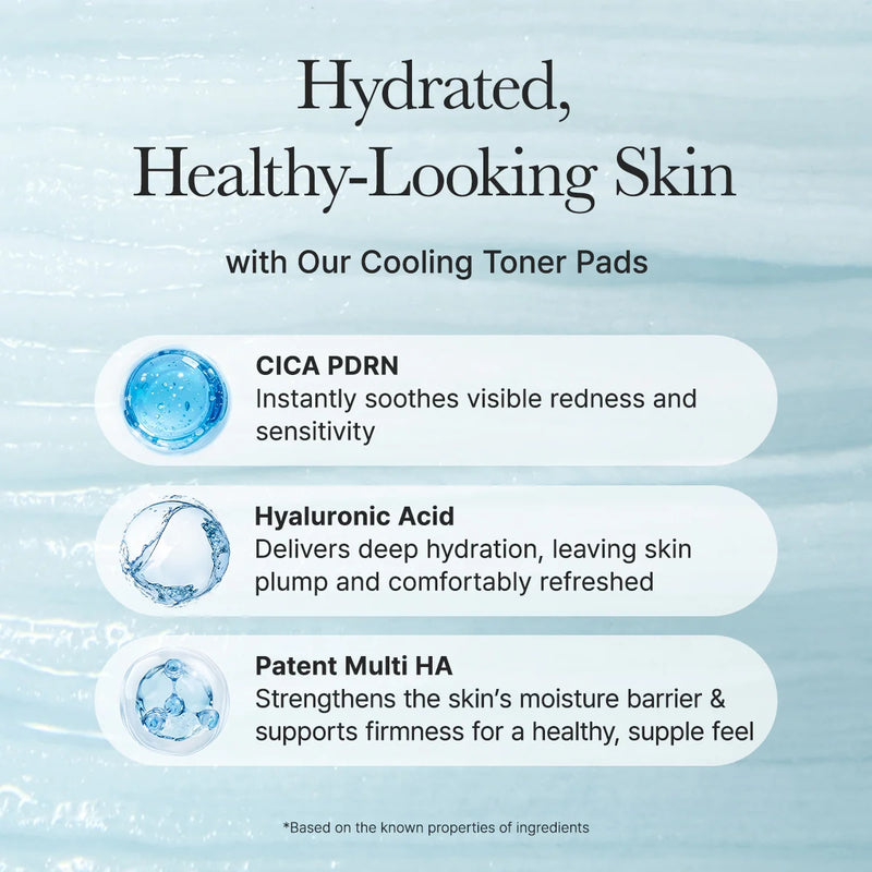 Arencia PDRN Hyaluronic Deep Hydration Pads 90 Pieces