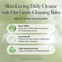 Arencia PDRN Pore Melt Phyto Cleansing Balm 90ml