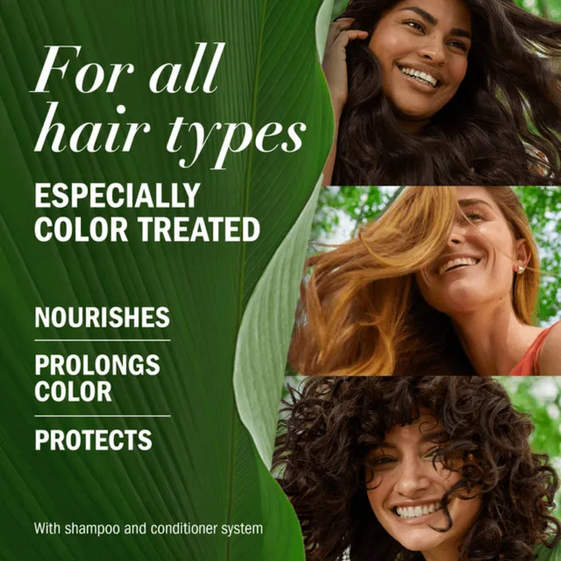 Herbal Essences Color + Protect Grape Seed Shampoo 400ml