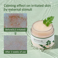 Round Lab Mugwort Calming Cream 80ml