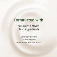 Round Lab Mugwort Calming Cream 80ml