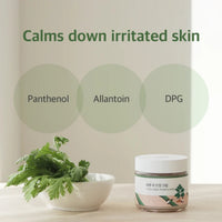 Round Lab Mugwort Calming Cream 80ml