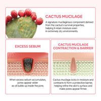 Dr Melaxin Cactox Pore Relief Dual Capsule Cream 65g